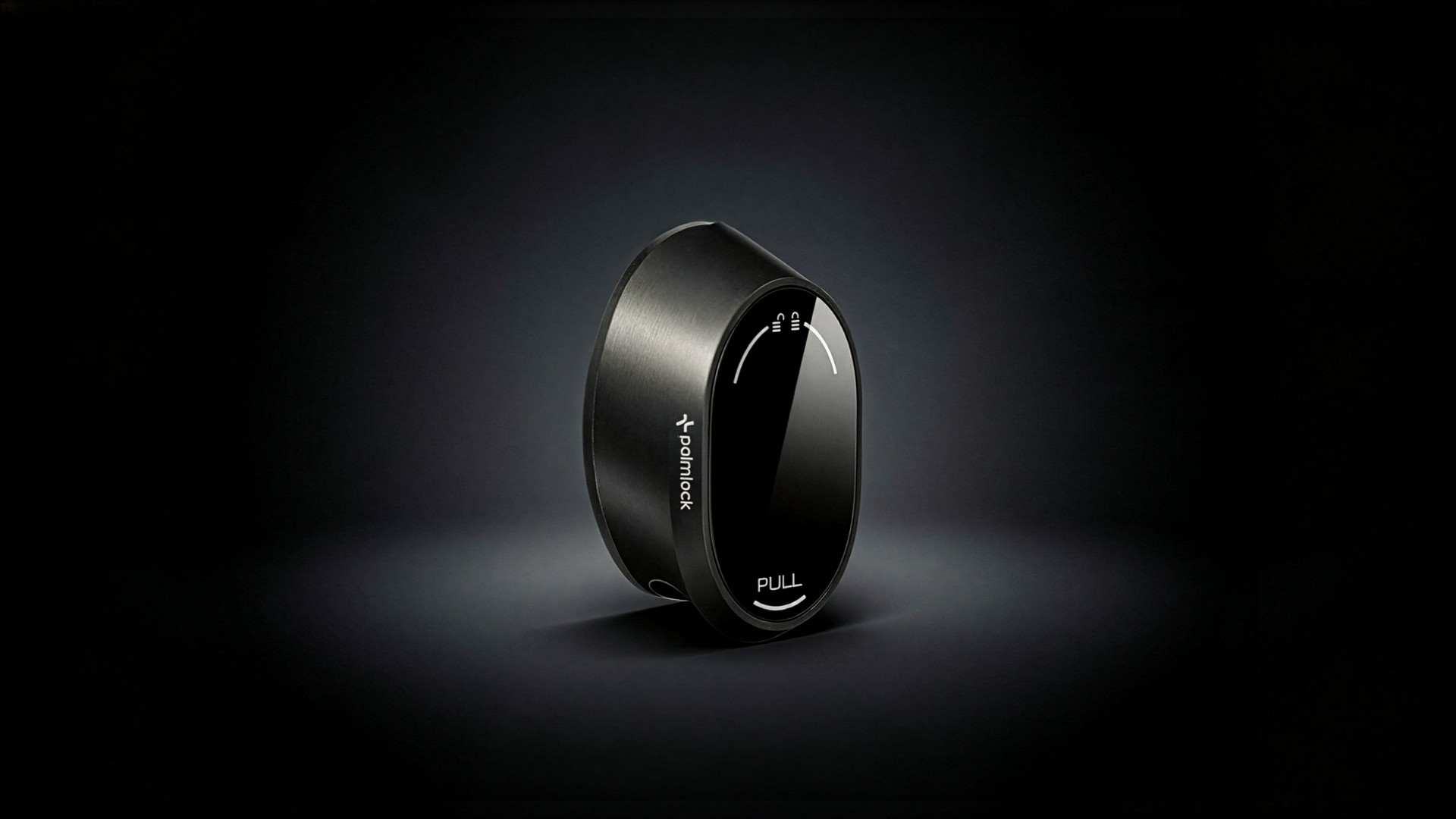 Palmlock dark product banner